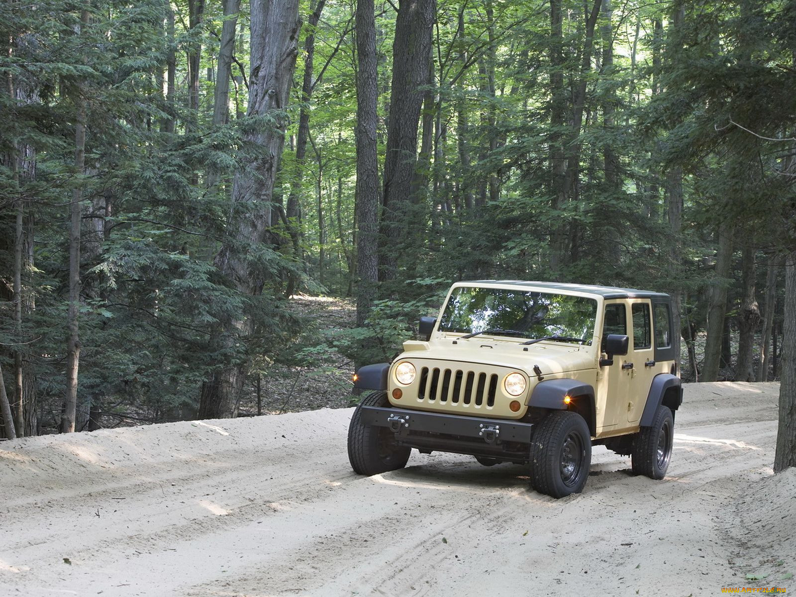 , jeep